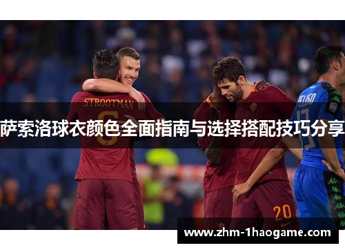 萨索洛球衣颜色全面指南与选择搭配技巧分享