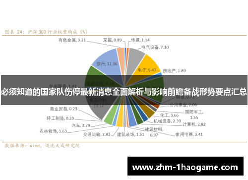 必须知道的国家队伤停最新消息全面解析与影响前瞻备战形势要点汇总