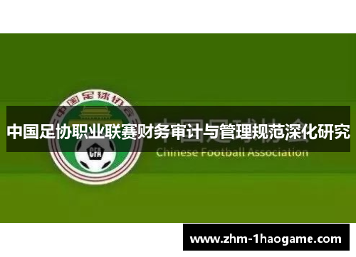 中国足协职业联赛财务审计与管理规范深化研究